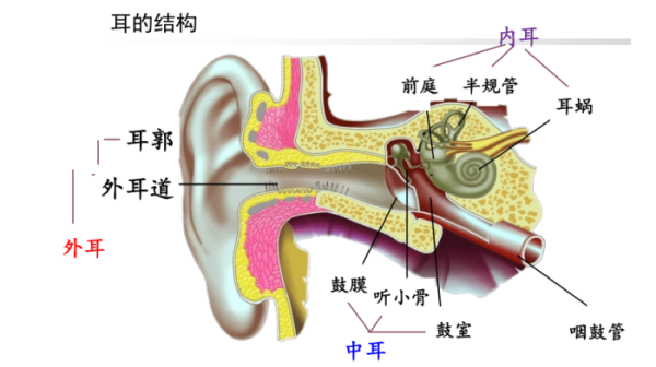 耳聋耳鸣