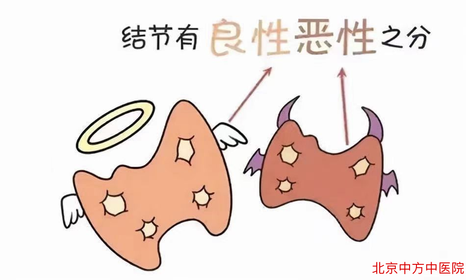 肺部结节