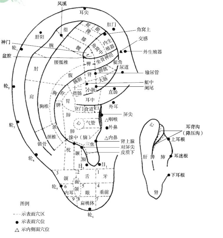 头晕目眩